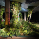 Illustration for article titled The Experimental Jungle Room Where NYC's Underground Park Is Taking Root